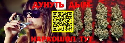 шишки Жуковский